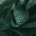 cole-keister-8V1gfeaPP1Y-unsplash